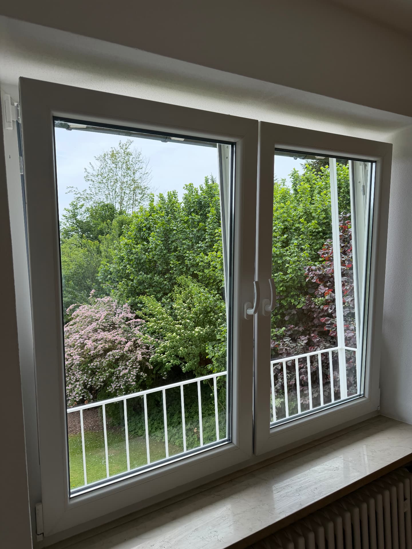 Neues Fenster mit Blick in den Garten